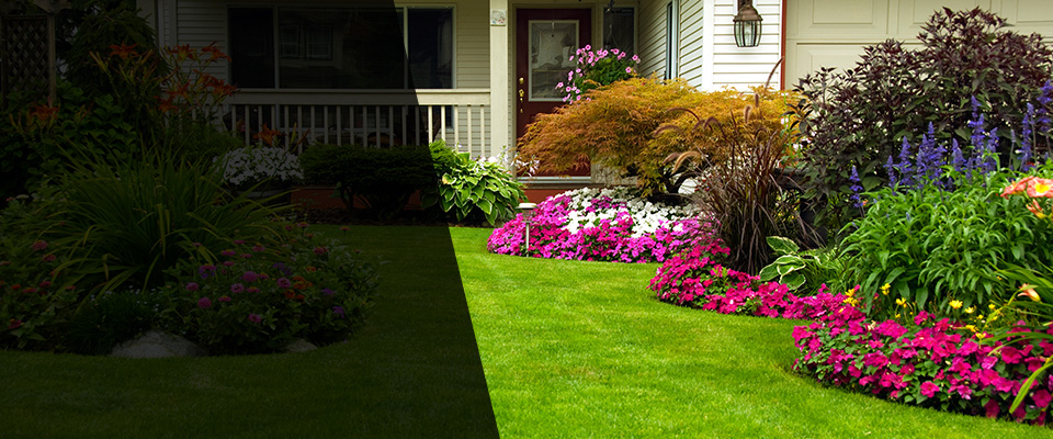 Anaconda Landscapers