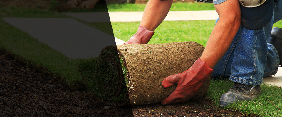 Anaconda Landscapers